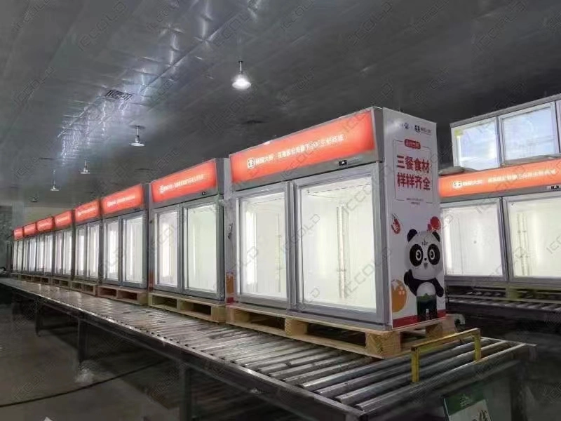 Convenience Store Bottom of Compressor Vertical Glass Door Refrigerated Display Freezer